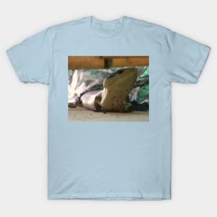 Curious Encounter: Close-Up Blue Tongue Lizard T-Shirt